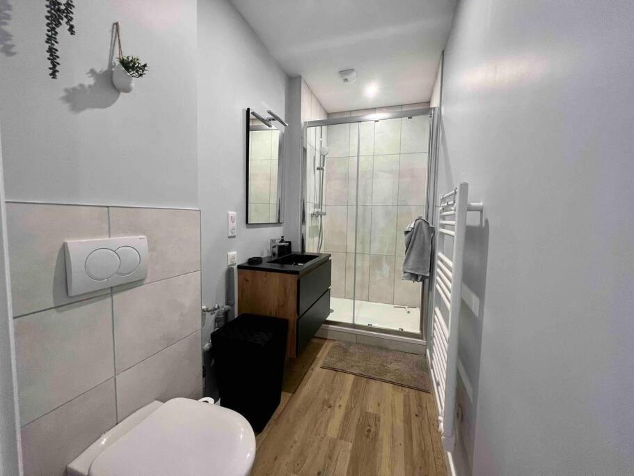 Appartement Climatise 4 Personnes / Centre-Ville Besançon Zewnętrze zdjęcie